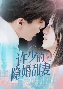许少的隐婚甜妻,第一季