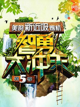 智勇大冲关第五季 